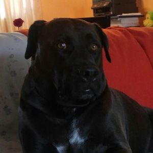 Meet your Posher, Antonella